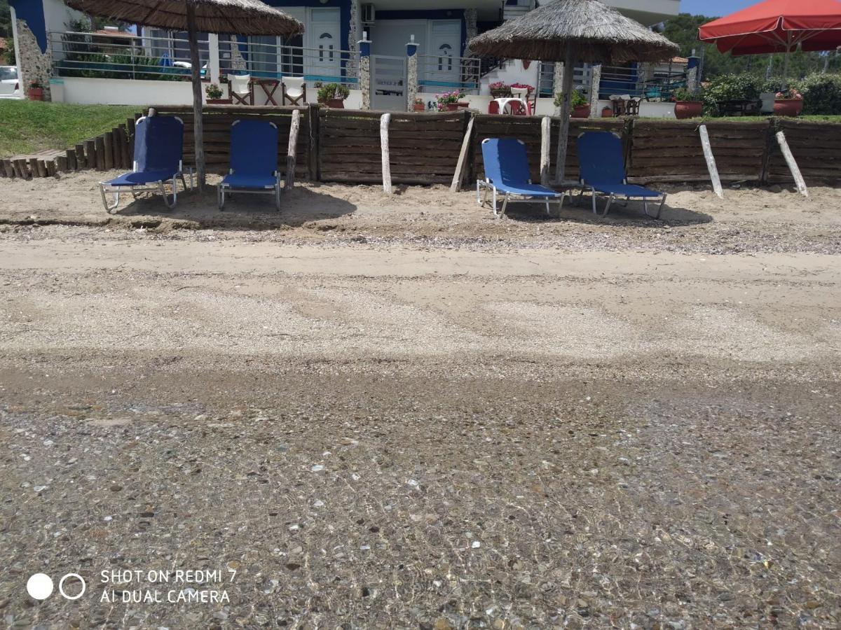 Apartament Elena