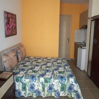 Apartament Elena *